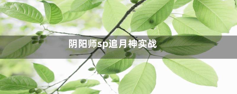 阴阳师sp追月神实战
