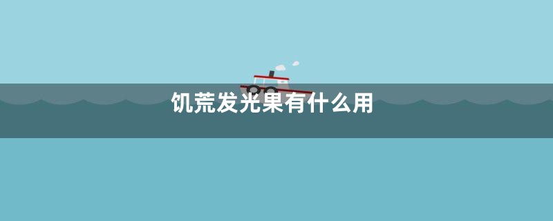 饥荒发光果有什么用