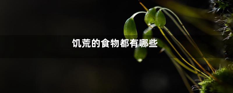 饥荒的食物都有哪些