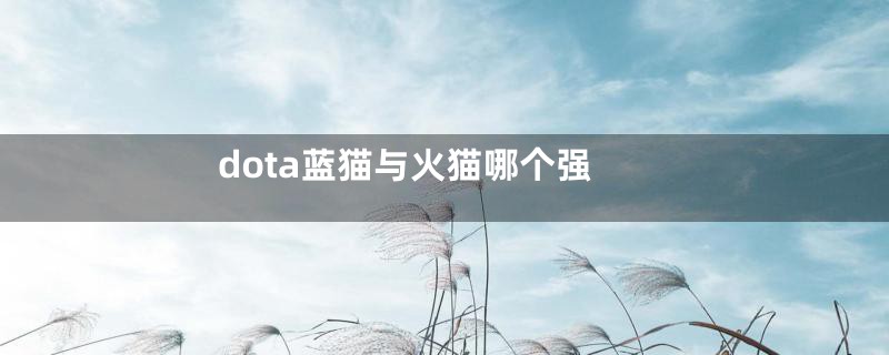 dota蓝猫与火猫哪个强