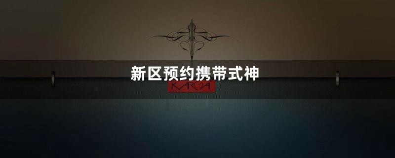 新区预约携带式神