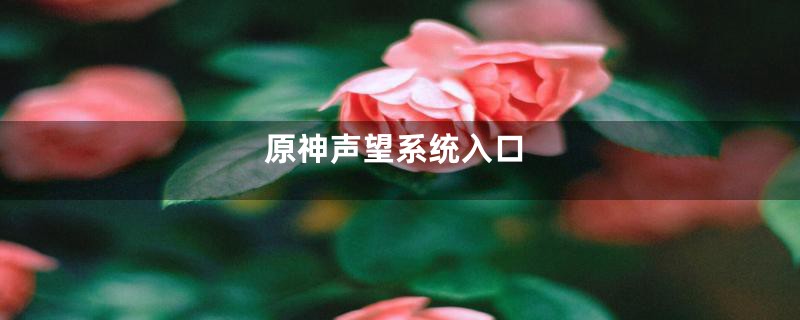 原神声望系统入口