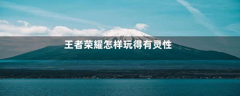 王者荣耀怎样玩得有灵性