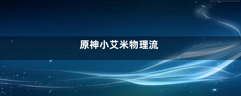 原神小艾米物理流