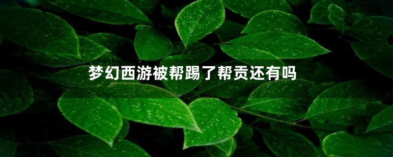 梦幻西游被帮踢了帮贡还有吗