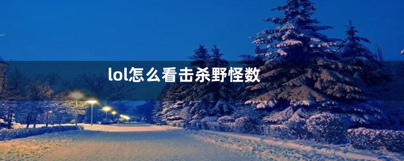 lol怎么看击杀野怪数