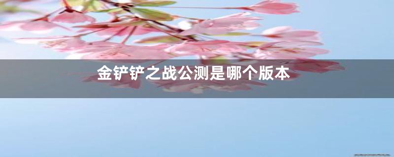 金铲铲之战公测是哪个版本