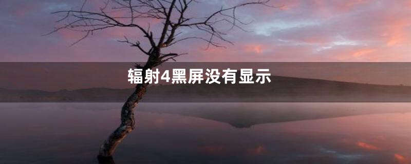 辐射4黑屏没有显示