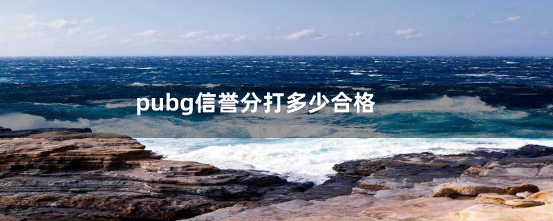 pubg信誉分打多少合格