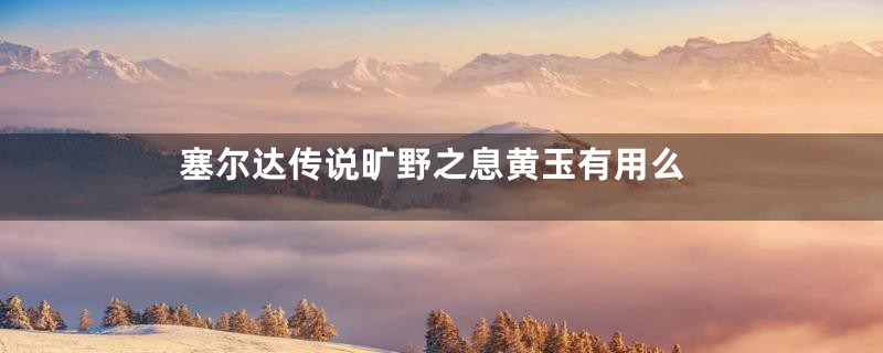 塞尔达传说旷野之息黄玉有用么