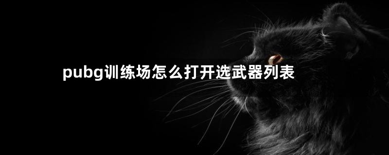 pubg训练场怎么打开选武器列表
