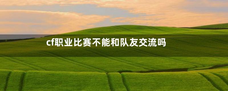 cf职业比赛不能和队友交流吗