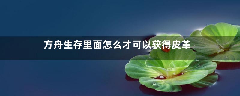 方舟生存里面怎么才可以获得皮革