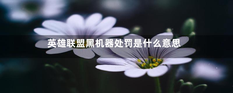 英雄联盟黑机器处罚是什么意思