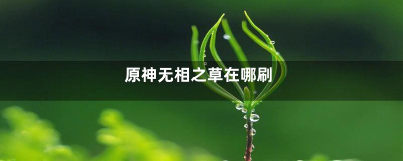 原神无相之草在哪刷