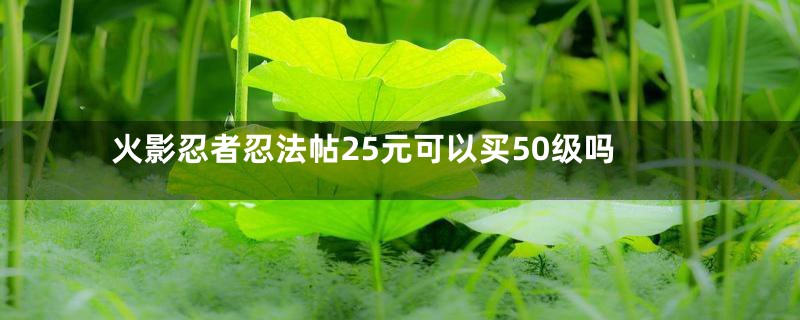火影忍者忍法帖25元可以买50级吗