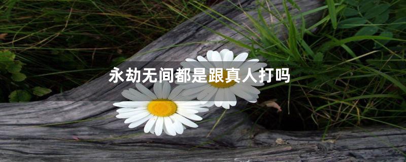 永劫无间都是跟真人打吗