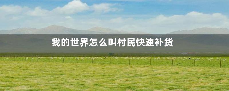 我的世界怎么叫村民快速补货