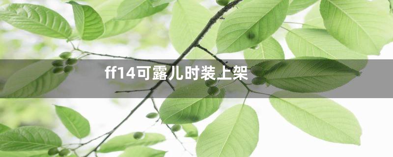 ff14可露儿时装上架