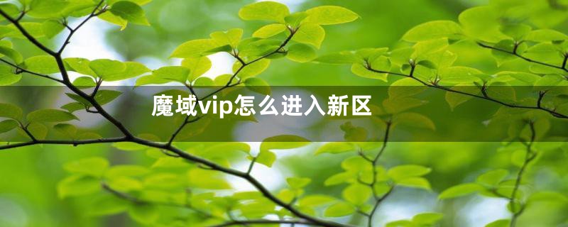 魔域vip怎么进入新区