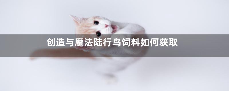 创造与魔法陆行鸟饲料如何获取