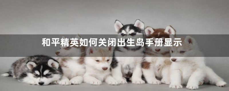 和平精英如何关闭出生岛手册显示