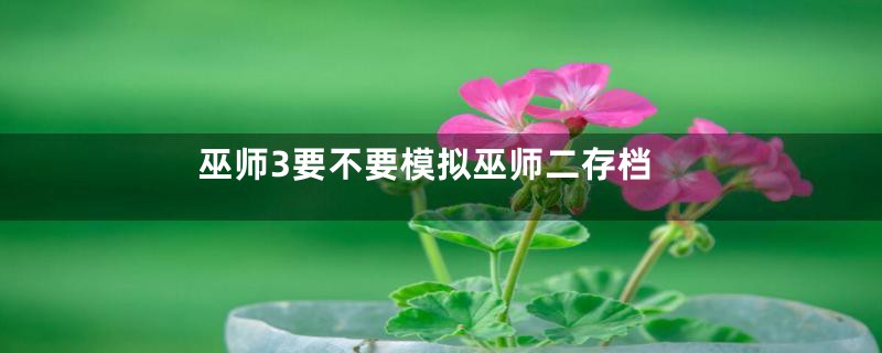 巫师3要不要模拟巫师二存档