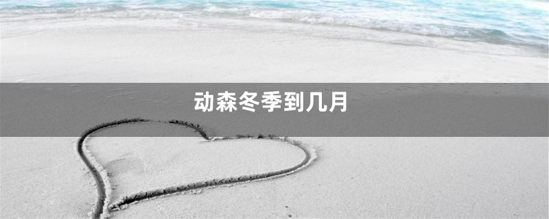 动森冬季到几月