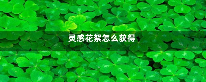 灵感花絮怎么获得