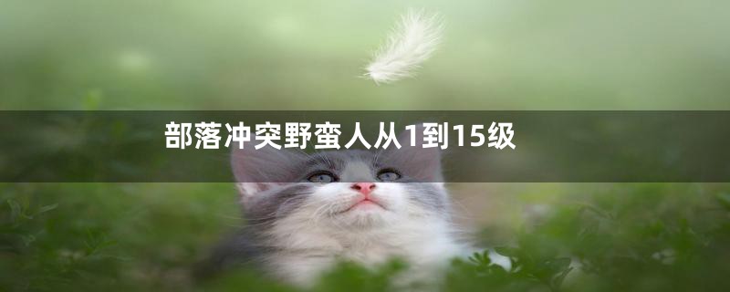部落冲突野蛮人从1到15级