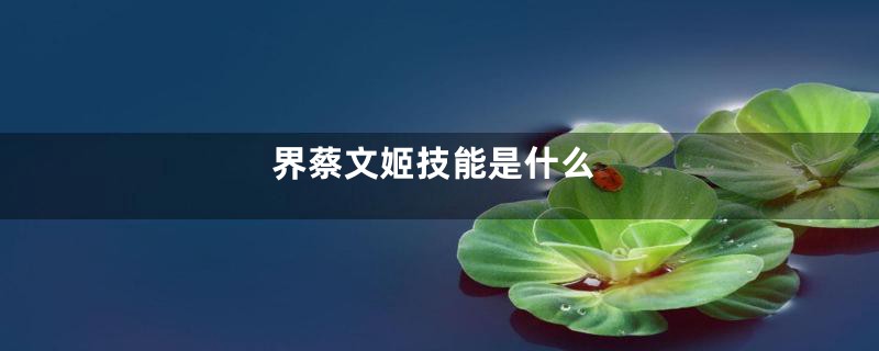 界蔡文姬技能是什么