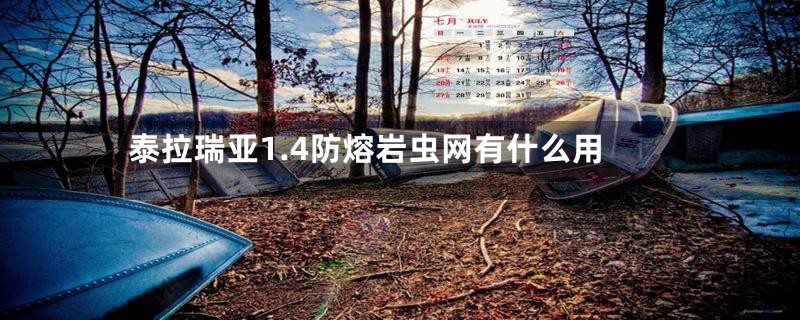泰拉瑞亚1.4防熔岩虫网有什么用
