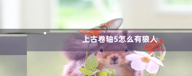 梦幻西游高级技能顶低级技能