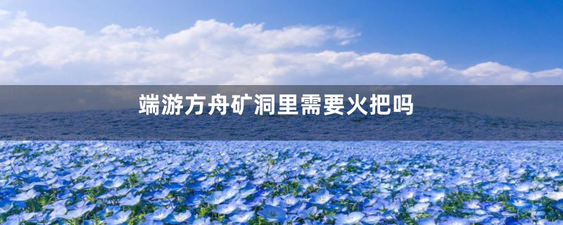 端游方舟矿洞里需要火把吗