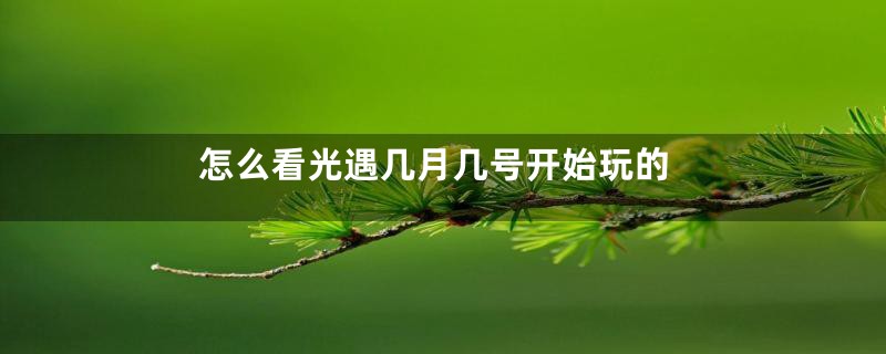怎么看光遇几月几号开始玩的