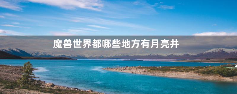 魔兽世界都哪些地方有月亮井