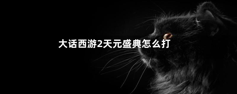 大话西游2天元盛典怎么打
