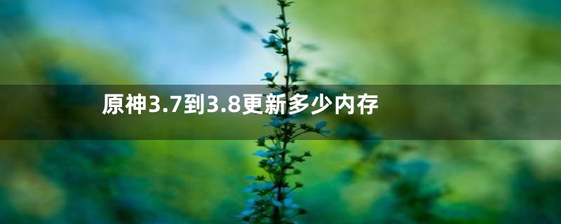 原神3.7到3.8更新多少内存