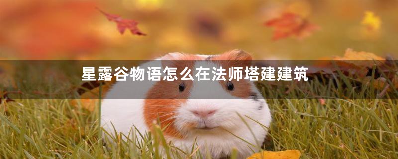 星露谷物语怎么在法师塔建建筑