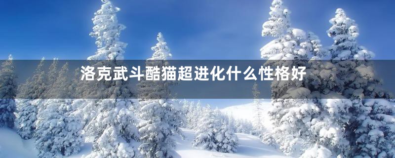 洛克武斗酷猫超进化什么性格好