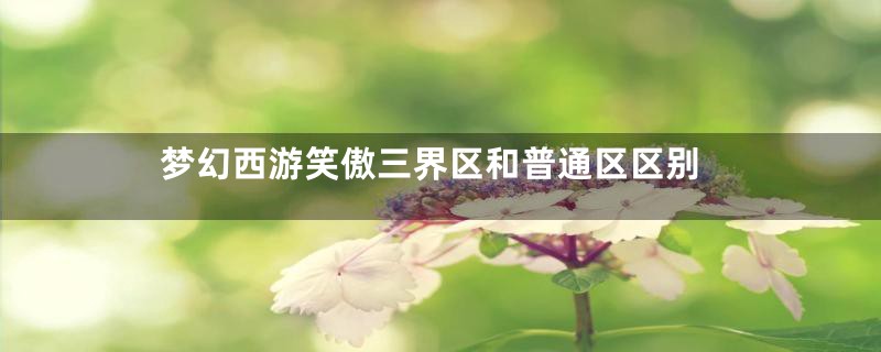 梦幻西游笑傲三界区和普通区区别