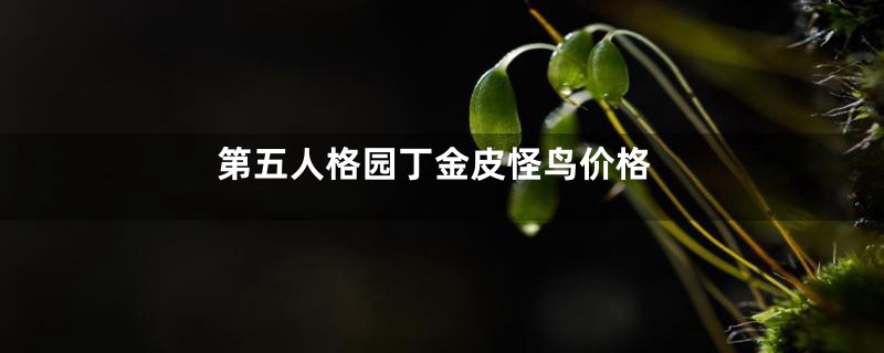 第五人格园丁金皮怪鸟价格