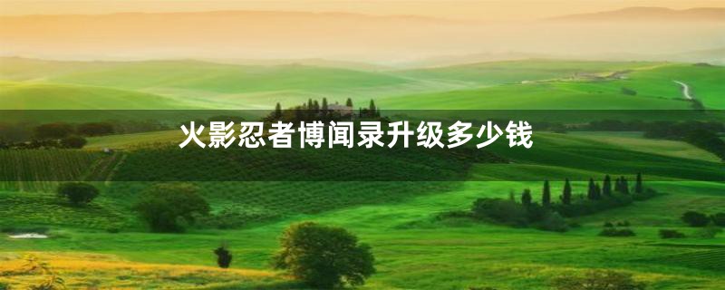 火影忍者博闻录升级多少钱