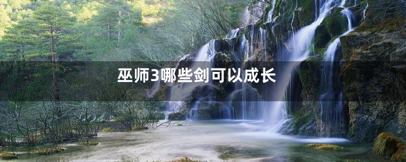 巫师3哪些剑可以成长
