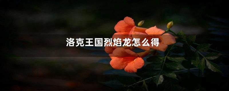 洛克王国烈焰龙怎么得