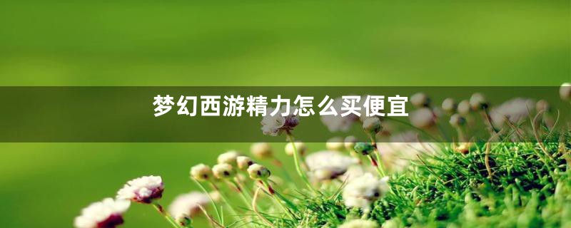 梦幻西游精力怎么买便宜