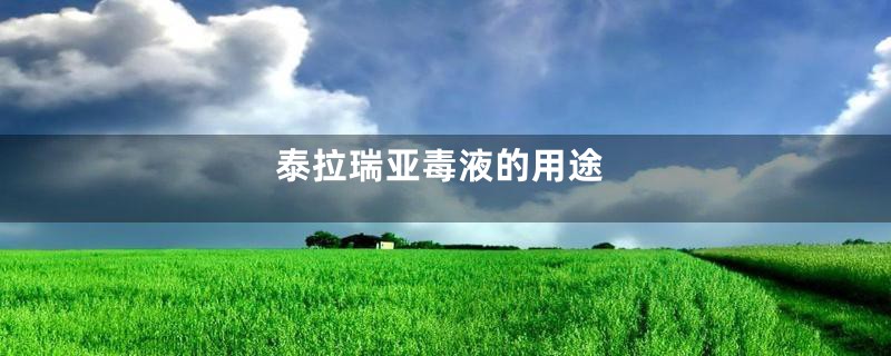 泰拉瑞亚毒液的用途