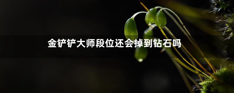 金铲铲大师段位还会掉到钻石吗
