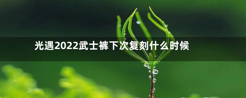光遇2022武士裤下次复刻什么时候