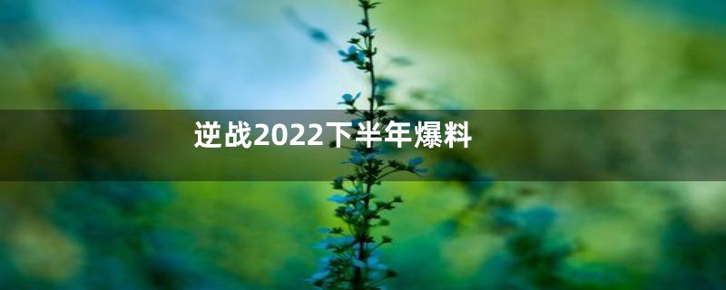 逆战2022下半年爆料